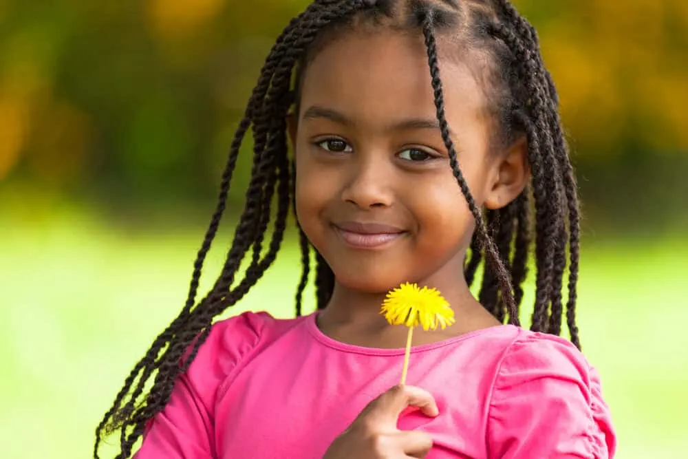 1100 Braided Hairstyles For Little Black Girls Stock Photos Pictures   RoyaltyFree Images  iStock